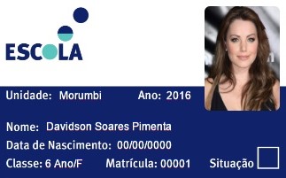 Carteirinha em pvc - 